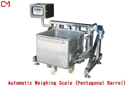 Automatic Weighing Scale - Automatic Weighing Scale